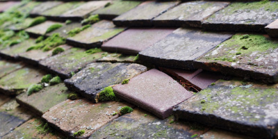 St Ives roof repair costs